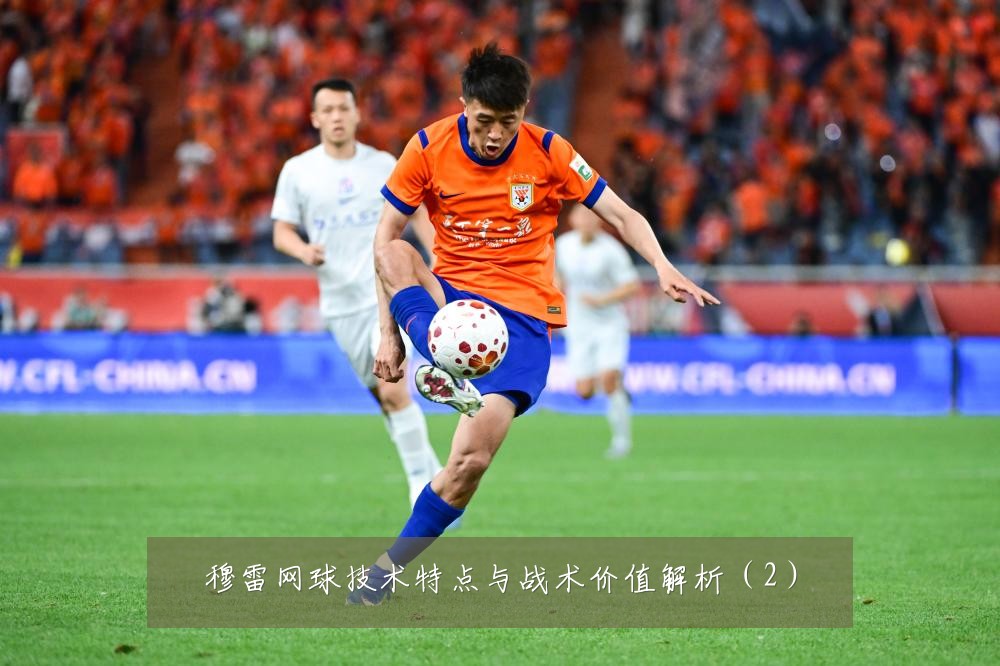 穆雷网球技术特点与战术价值解析（2）