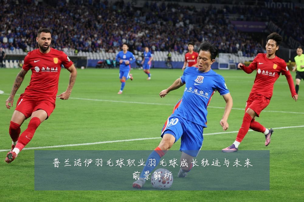 普兰诺伊羽毛球职业羽毛球成长轨迹与未来前景解析