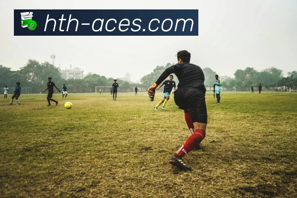 华体会平台展示图